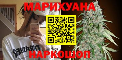 стаф Камышлов
