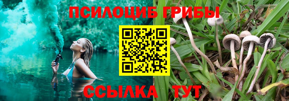Псилоцибиновые грибы GOLDEN TEACHER  Псилоцибиновые грибы ЛСД  Бирск  Вход с VPN 
